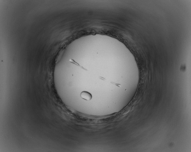 X0000101991109200808081628