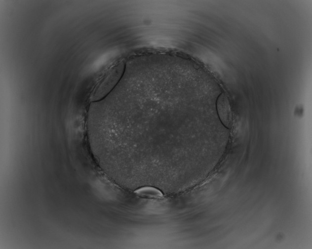 X0000101991110200808081628