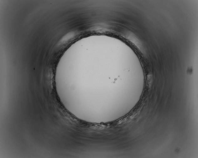 X0000101991111200808081628