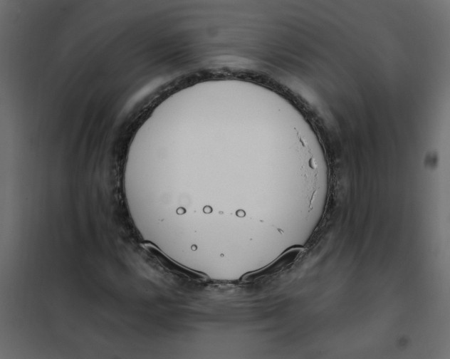 X0000101991112200808081628