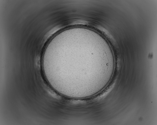 X0000101991113200808081628