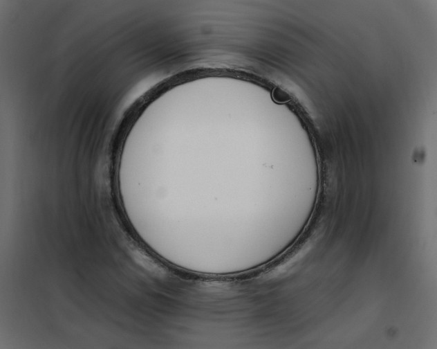 X0000101991114200808081628