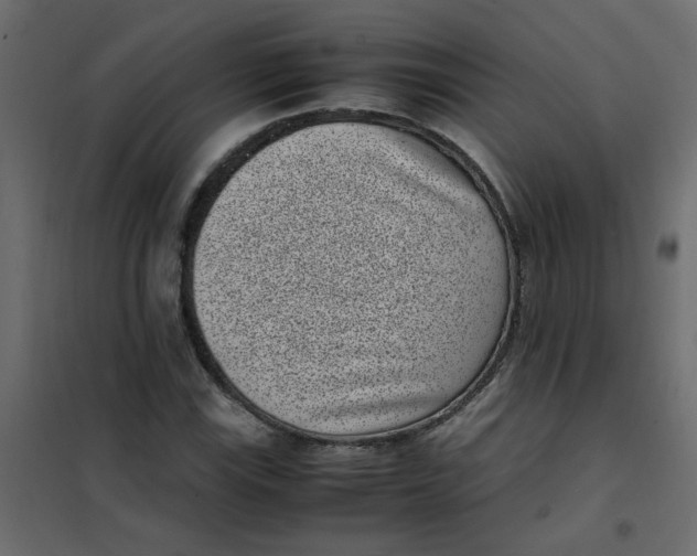 X0000101991115200808081628