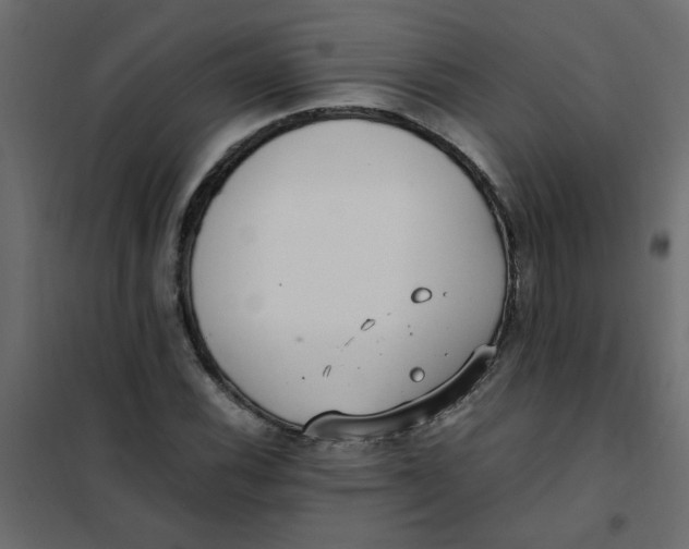 X0000101991116200808081628