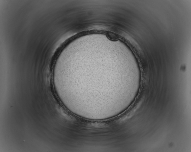 X0000101991117200808081628