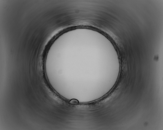 X0000101991118200808081628