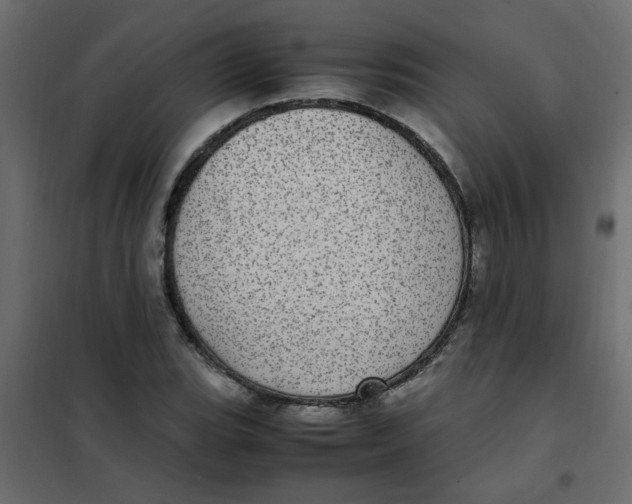 X0000101991119200808081628