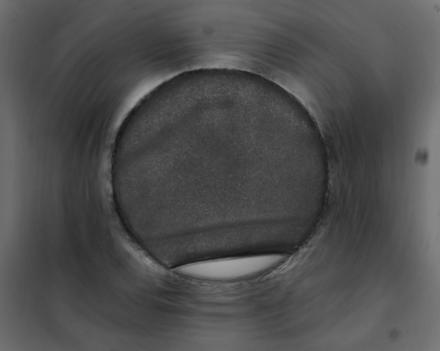 X0000101991120200808081628