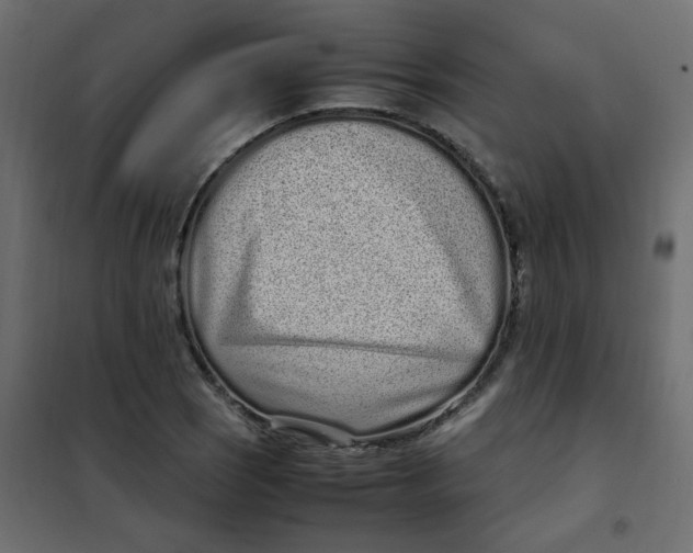 X0000101991121200808081628