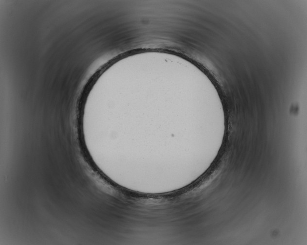 X0000101991122200808081628