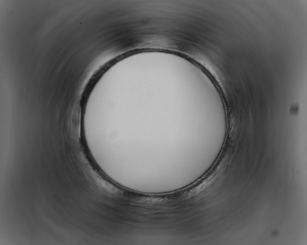 X0000101991123200808081628