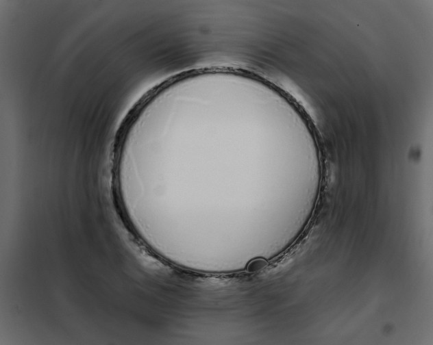 X0000101991124200808081628