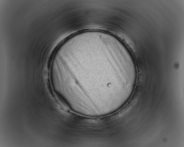 X0000101991125200808081628