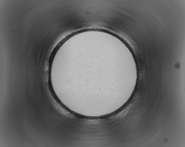 X0000101991126200808081628