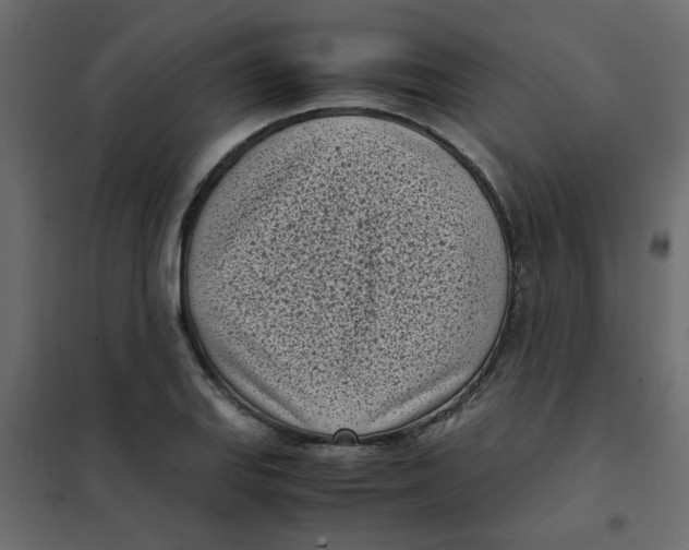 X0000101991127200808081628