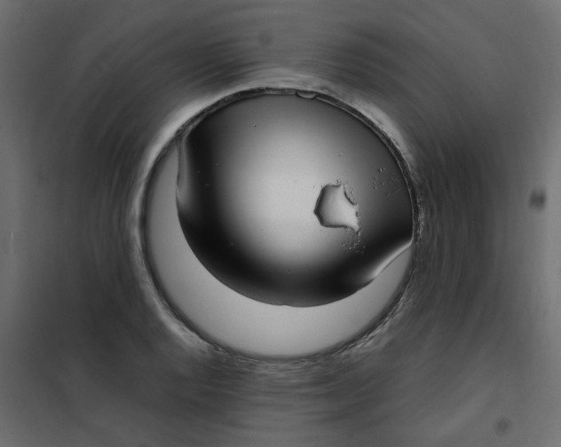 X0000101991128200808081628