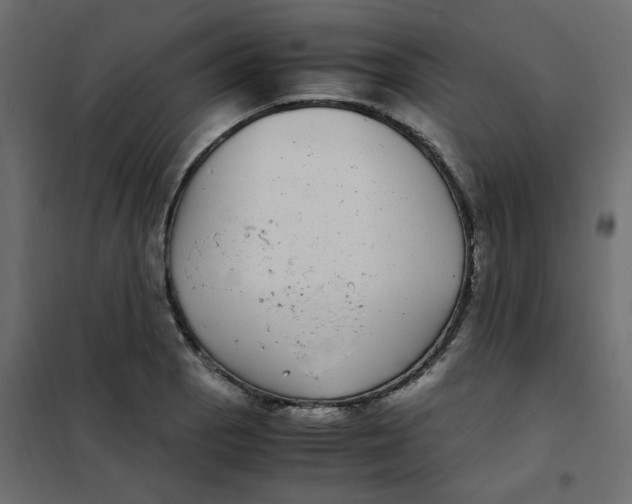 X0000101991129200808081628