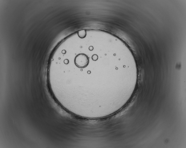 X0000101991130200808081628