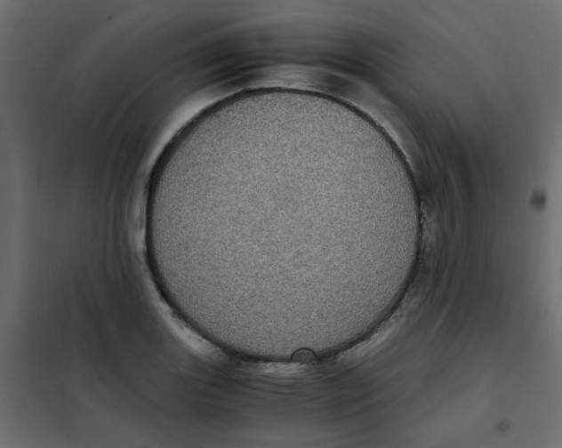 X0000101991131200808081628