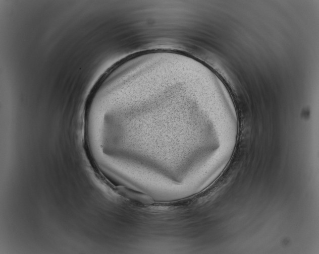 X0000101991132200808081628