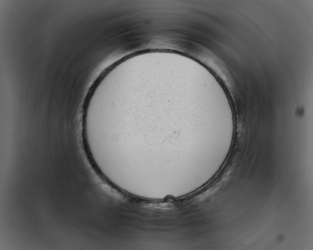 X0000101991133200808081628