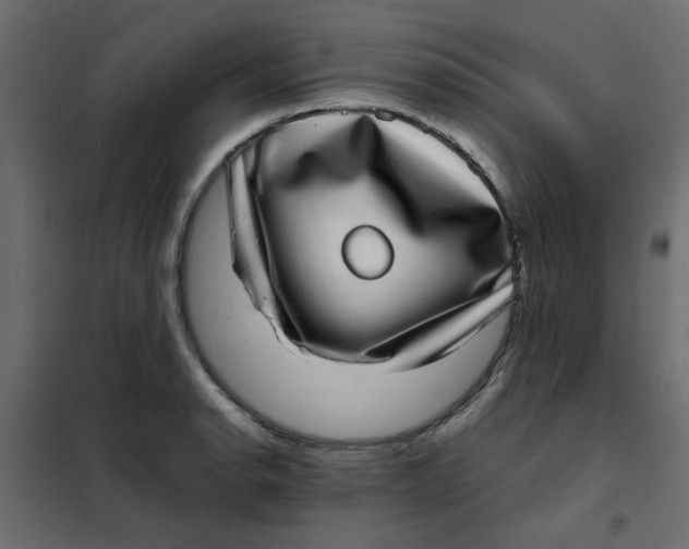 X0000101991134200808081628