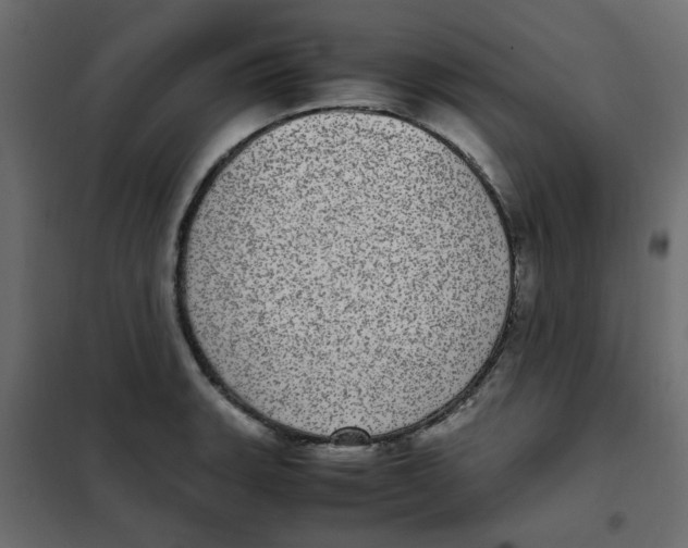 X0000101991135200808081628