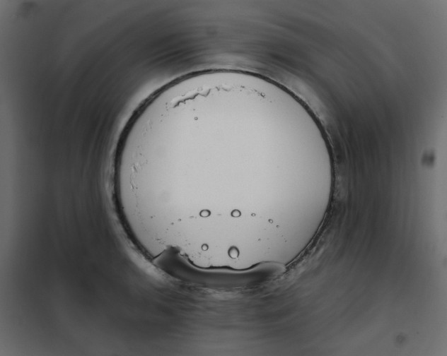 X0000101991136200808081628