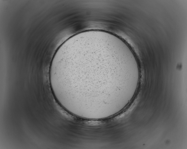 X0000101991137200808081628