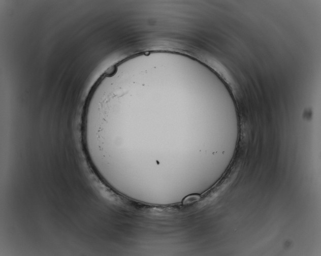 X0000101991138200808081628