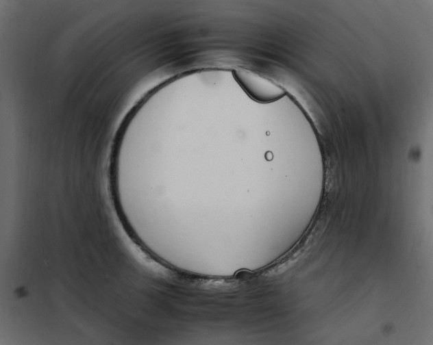 X0000101991139200808081629