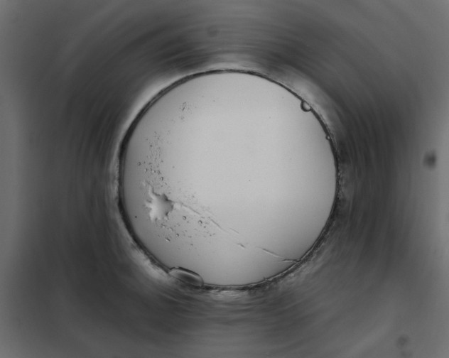 X0000101991140200808081629