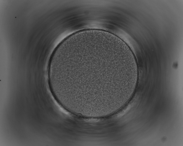 X0000101991141200808081629