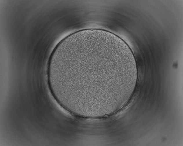 X0000101991142200808081629