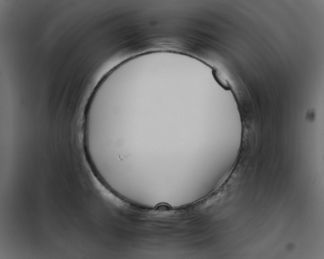 X0000101991143200808081629