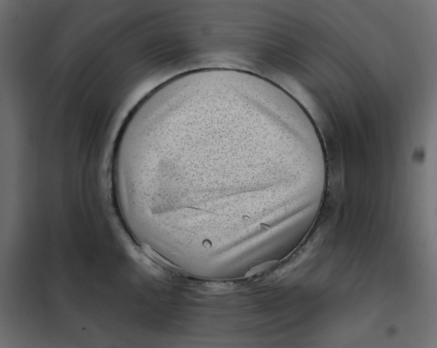 X0000101991144200808081629