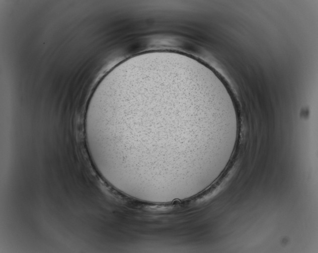 X0000101991145200808081629