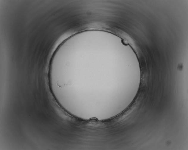 X0000101991146200808081629