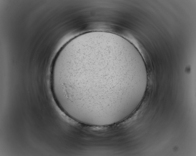 X0000101991147200808081629