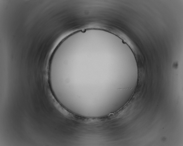 X0000101991148200808081629