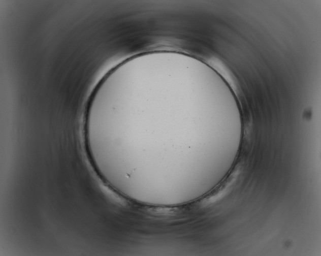 X0000101991149200808081629