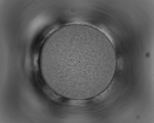 X0000101991150200808081629