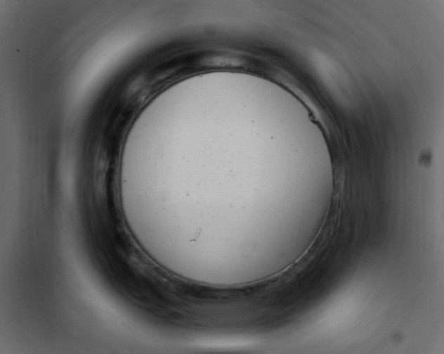 X0000101991151200808081629