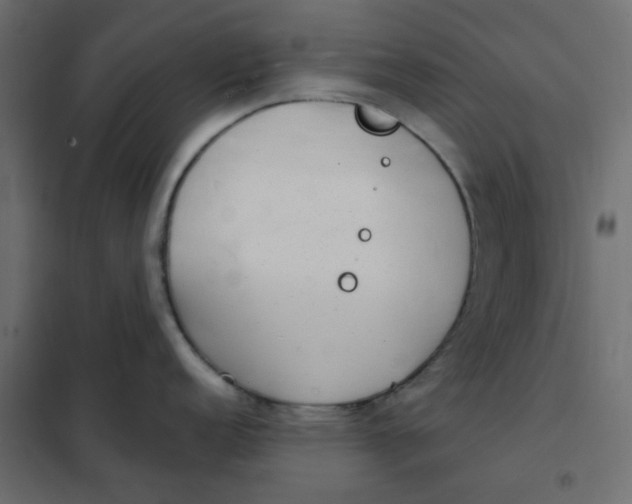 X0000101991152200808081629