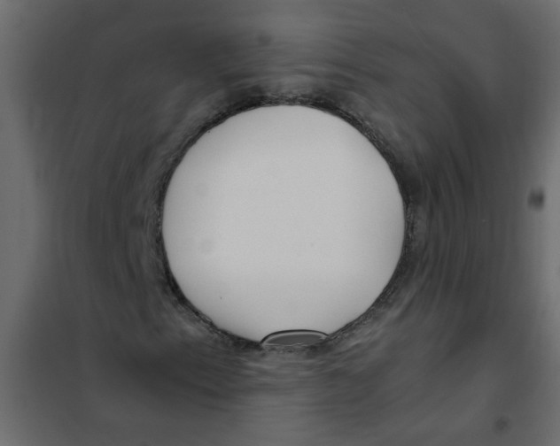 X0000101991153200808081628