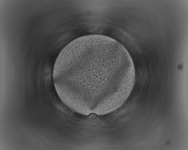 X0000101991154200808081628