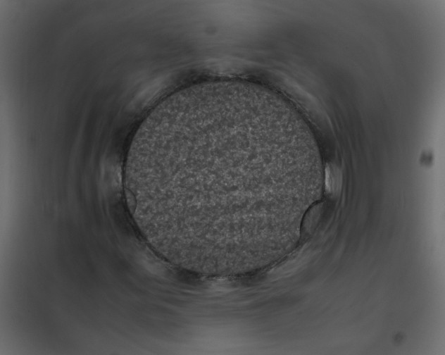 X0000101991155200808081628