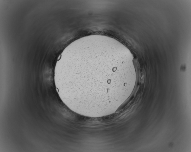 X0000101991156200808081628