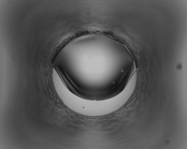 X0000101991157200808081628