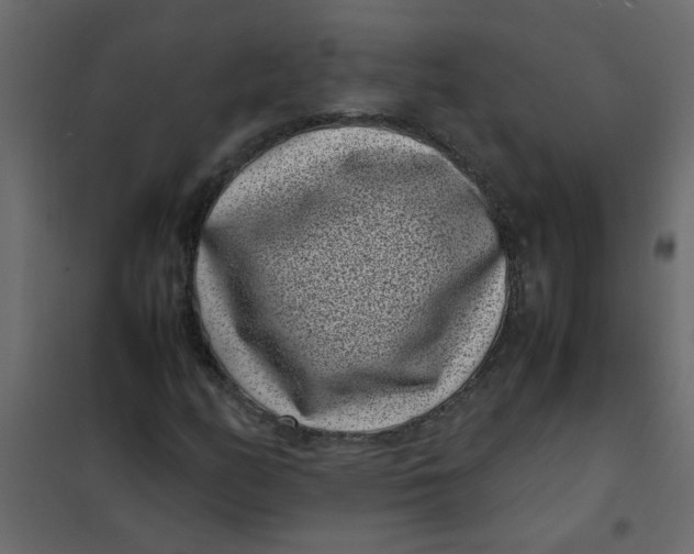 X0000101991158200808081628